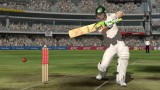 Joc Ashes Cricket 2009 pentru Nintendo Wii