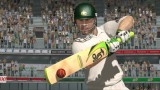 Joc Ashes Cricket 2009 pentru Nintendo Wii