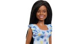 Papusa Barbie Fashionistas 229 Ndss Down Syndrome Dark Skin Doll (hyk14)