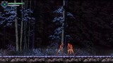 Joc Chronicles Of The Wolf pentru Nintendo Switch
