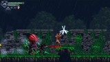 Joc Chronicles Of The Wolf pentru Nintendo Switch
