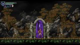 Joc Chronicles Of The Wolf pentru Nintendo Switch