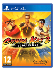 Cobra Kai 2 Dojos Rising 