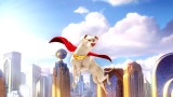 Dc League Of Super Pets The Adventures Of Krypto And Ace