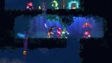 Dead Cells Special Edition