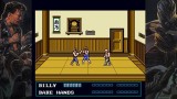 Double Dragon Collection (collector's Edition)