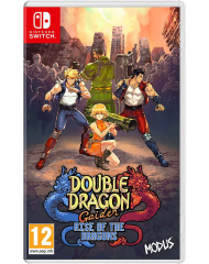 Double Dragon Gaiden Rise Of The Dragons