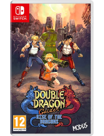 Double Dragon Gaiden Rise Of The Dragons 