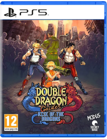 Double Dragon Gaiden Rise Of The Dragons 