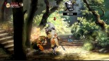 Dragons Crown Pro