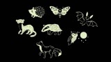  Filibabba Glow In The Dark Puzzle Forest Friends (fi-03320)