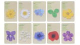  Gardenlife Explorer Bag Flowers (kg311)