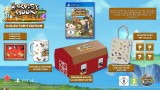 Joc Harvest Moon Light Of Hope Collectors Edition pentru PS4