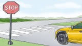 Joc How To Pass Your Driving Test pentru Nintendo DS