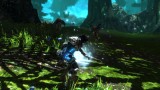 Joc Kingdoms Of Amalur Re Reckoning pentru PS4