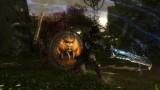 Joc Kingdoms Of Amalur Re Reckoning pentru PS4