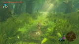 Legend Of Zelda Breath Of The Wild