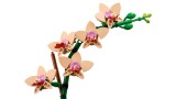 Lego Botanicals Mini Orchid (10343)