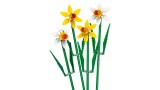 Lego Daffodils (40747)