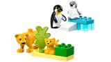 Lego Duplo Wild Animal Families Penguins & Lions (10442)