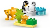 Lego Duplo Wild Animal Families Penguins & Lions (10442)