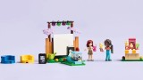 Joc Lego Friends Friendship Movie Night (42642)