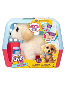 Little Live Pets Ouchies (26679) 