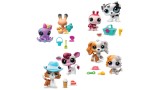 Animalut Littlest Pet Shop Pet Pair Random Cdu (00623)