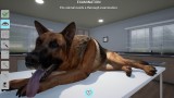 Joc My Life Pet Vet pentru Nintendo Switch