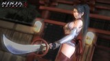 Joc Ninja Gaiden Master Collection pentru PS4