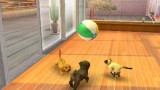 Nintendogs And Cats 3d Toy Poodle