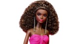 Papusa Barbie Signature Pink Collection Deluxe Dark Skin (hbx96)