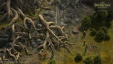 Joc Pathfinder Kingmaker Definitive Edition pentru Xbox One