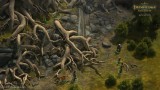 Joc Pathfinder Kingmaker Special Edition pentru PC