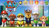 Paw Patrol On A Roll