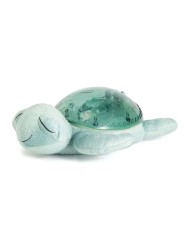 Plus Cloud B Tranquil Turtle Green (cb7902-gr)