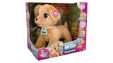 Jucarie Plus Club Petz Milo The Dog (281-81314)
