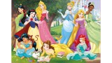 Puzzle 500 Pieces Disney Princesses (017723)