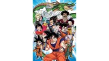 Puzzle Dragon Ball 1000 Pieces (80-18496)