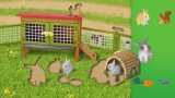 Puzzles Farm World