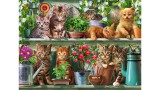 Ravensburger Puzzle Cats On The Shelf 500p 12000205