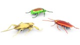 Jucarie Robot Robo Hexbug Nano Real Bugs (6068914)