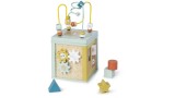  Saro Activity Cube (sao3345)