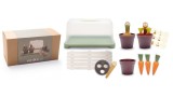  Set Dantoy Green Garden Mini Greenhouse (4725)