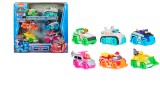  Set Masinute Paw Patrol Metal Neon 6 Pups
