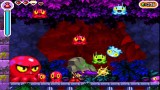 Joc Shantae Riskys Revenge Retro Box Edition pentru Nintendo Switch
