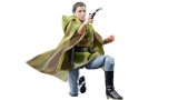Star Wars The Black Series Return Of The Jedi 40th Anniversary Princess Leia Endor F7051