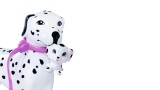 Papusa Steffi Love Cute Walk (105733605)