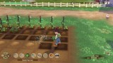 Story Of Seasons A Wonderful Life
