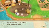 Joc Story Of Seasons Friends Of Mineral Town pentru Nintendo Switch